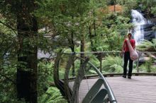 Great Otway National Park