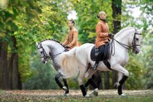 Epona - Spanische Reitschule Ungarn probt für 