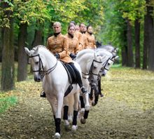 Epona - Spanische Reitschule Ungarn probt für 