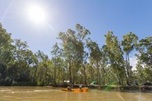 Murray River Canoe Trail 