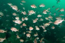 Beware Reef Marine Sanctuary