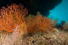 Wilsons Promontory Marine National Park