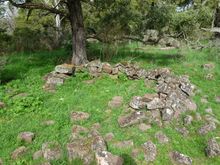 Evidence of Budj Bim landscape and Indigenous Protected Area