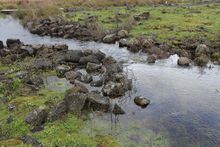 Evidence of Budj Bim landscape and Indigenous Protected Area