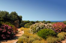 Parc de Saleccia, Corsica