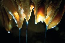 Buchan Caves