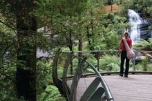 Great Otway National Park