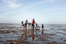 The Wadden Sea