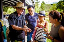 Sunshine Coast Bush Tucker Secrets