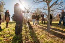 Now in its ninth consecutive year, The Truffle Festival – Canberra Region is the first and largest festival of its kind in Australia.