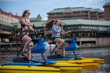 Tampa Water Bikes