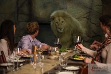 Jamala Dining Cave