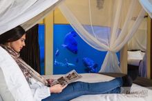 Reef Room