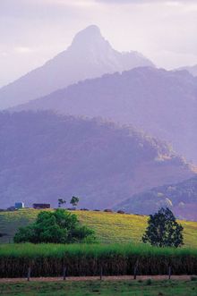 The mystical peak of Wollumbin Mt Warning towers over the Tweed Valley's lush farmlands