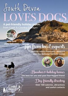 South Devon Loves Dogs