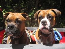 Damit der Urlaub nicht zu stressig wird, arbeitet travel4dogs die komplette Wanderreise mit Übernachtung und Gepäcktransfer aus.