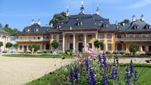 Die Parkanlage der Sommerresidenz des Sächsischen Hofes in Pillnitz darf auch von Hunden erkundet werden.
