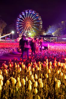 All lit up at Floriade NightFest