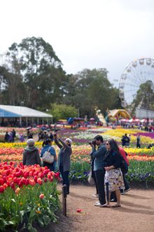 Floriade Visitors