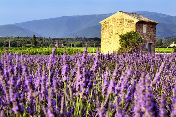 Provence in summer 