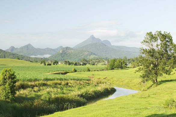 The tranquil Tweed River winds around the base of Mt  Warning in the Tweed Valley of northern NSW