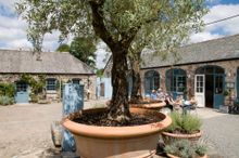 New Yard Restaurant 