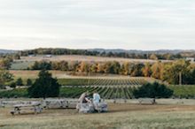 Arrington Vineyards, owned by country music star Kix Brooks, is one of five stops along the Masters & Makers Trail which traverses the scenic landscape throughout Williamson County, Tennessee, connecting craft distilleries, local breweries and an award wi