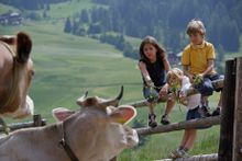 Kids enjoying the Dolomiti Countryside