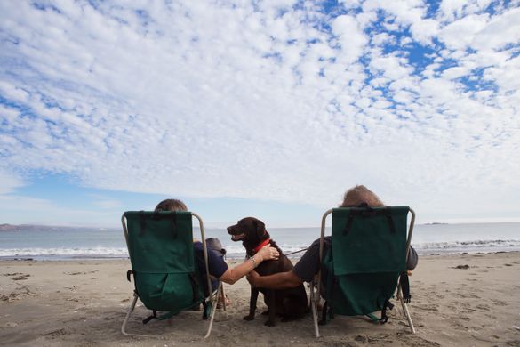 There's an adventure for everyone in Sonoma County.