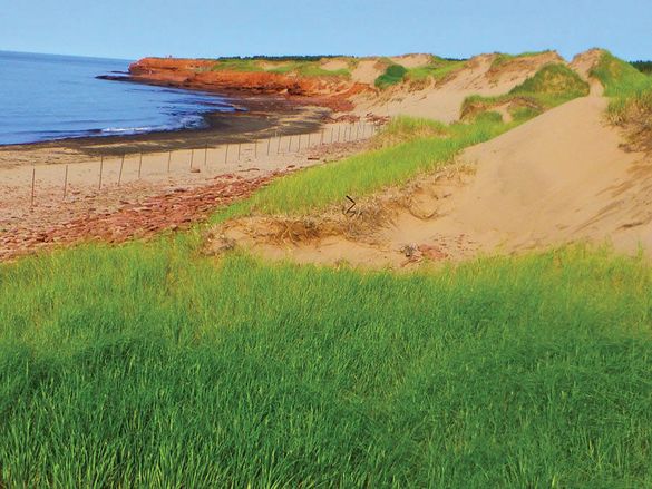 Red sand dunes of Greenwich Beach, Prince Edward Island.