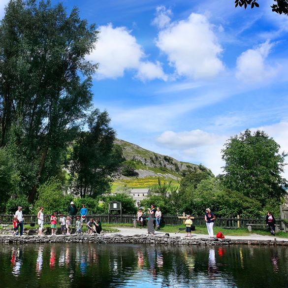 Enjoy Father's Day with a Catch & Cook fishing trip at Kilnsey Park