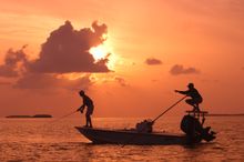 As the sun sets, a Florida Keys bonefish guide, right. points his angler to a bonefish on fly tackle off Islamorada in the  Flor