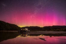 The Aurora Australis or The Southern Lights as seen from Okarito on the West Coast of New Zealand's South Island. 