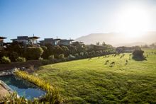 Hapuku Lodge treehouses in Kaikoura, New Zealand, were built to put the guests closer “to the birds, to the mountains, to the ocean and the sky”. 