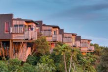 Kaikoura's Hapuku Lodge tree houses are perched 10 metres above the ground in a grove of native kanuka trees, with views over verdant farmland and dark green hills. 
