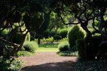 Jardin Marivent by Damia Prohens 