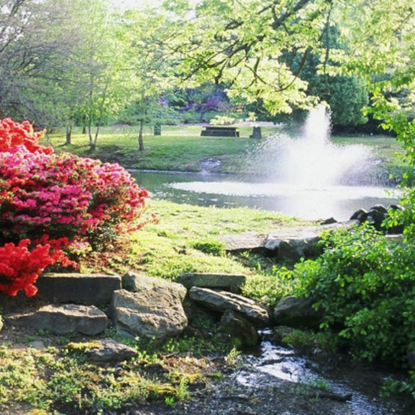 Amish and Azaleas Tour, Be Native Tours
