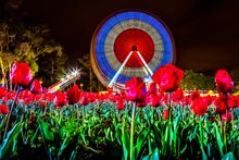 Explore Floriade after dark during NightFest from 22-24 September and 29 September-1 October.