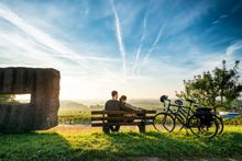 German Wine Route