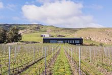 Enjoy organic wines and fine local flavours at Black Estate, a family-run winery - 90 minutes’ drive, north of Christchurch 