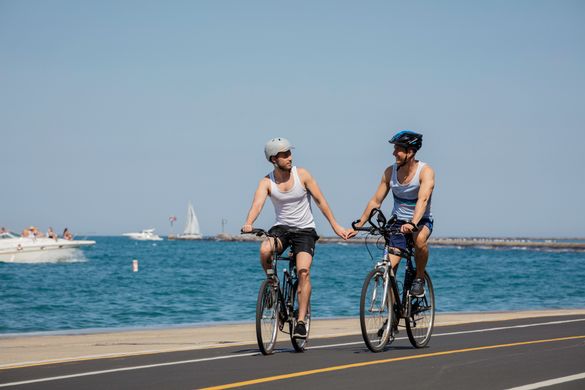 Chicago-LGBT-Couple-Lake-Michigan