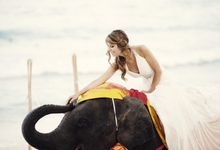 The Library, Koh Samui, Thailand, weddings, bride on elephant