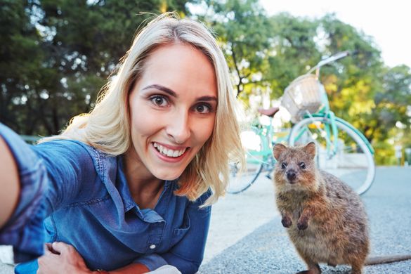 Quokka selfie at Rottnest Island