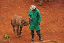 Keeper and elephant - photo taken during visit to the Sheldrick Trust
