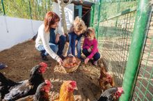 Welcome to the Farm
