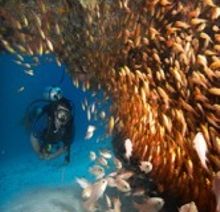 Rising Sun Dive Centre Zanzibar