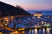 Avalon at Night