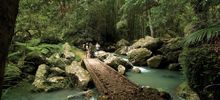 Luxe Trekking Tours, Sunshine Coast Hinterland