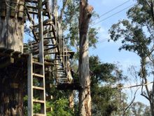 Trees Adventure Lane Poole Park, Dwellingup