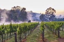 Millbrook Winery, Jarrahdale
